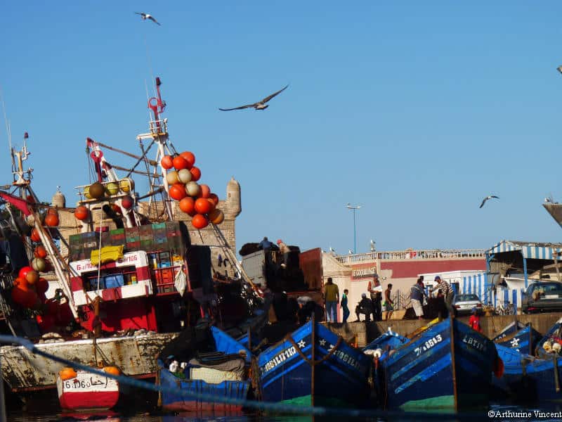 Le port d'Essaouira